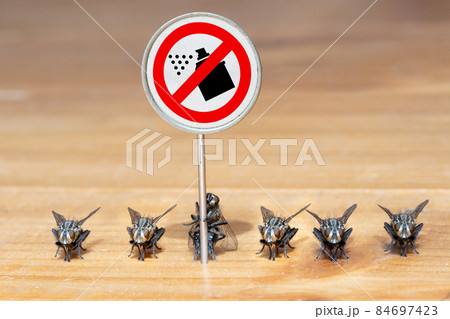The flies stands in line with an board with a symbol ban of insecticides. 84697423