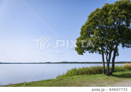 クッチャロ湖の風景 クッチャロ湖の風景 84697735
