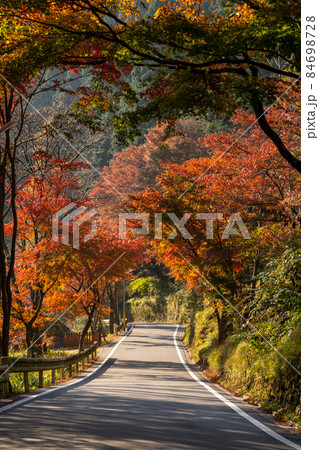 秋の貴船神社と周辺の風景 秋の貴船神社と周辺の風景 84698728