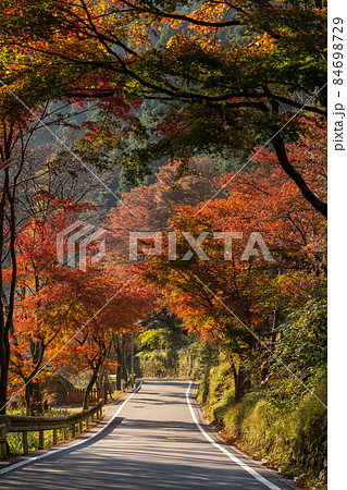 秋の貴船神社と周辺の風景 秋の貴船神社と周辺の風景 84698729