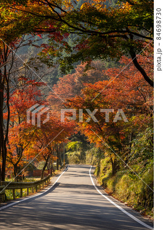 秋の貴船神社と周辺の風景 秋の貴船神社と周辺の風景 84698730