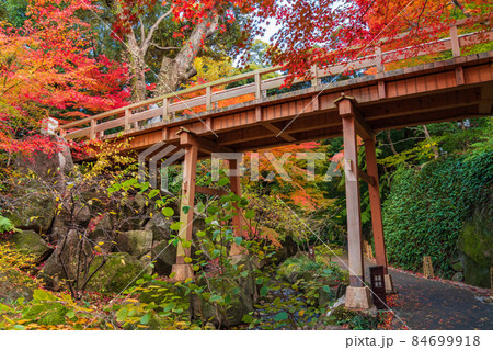 秋の徳川園〈愛知県名古屋市〉 84699918