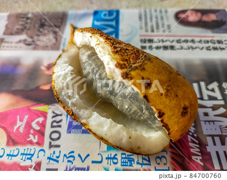 食べ頃のあけびの実 食べ頃のあけびの実 84700760