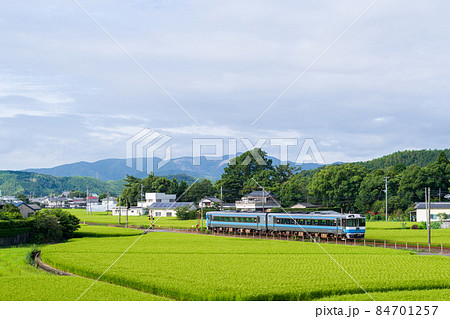 【牟岐線】早朝の特急むろと号 84701257