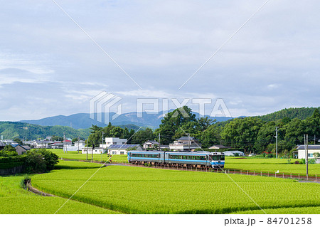 【牟岐線】早朝の特急むろと号 84701258