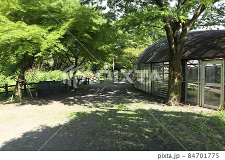 福生　ほたる公園 84701775