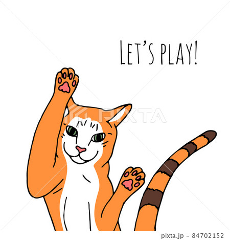 Illustration of funny cat and text Let's play Illustration of funny cat and text Let's play 84702152