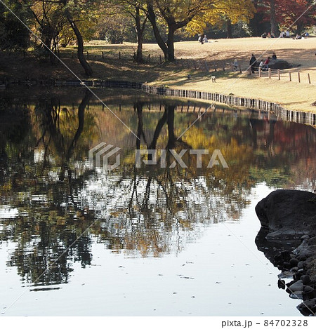 明治神宮北池の風景 明治神宮北池の風景 84702328