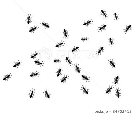 ant logo icon vector illustration design 84702412