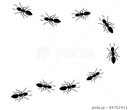 ant logo icon vector illustration design 84702421