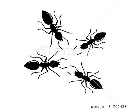 ant logo icon vector illustration design 84702423