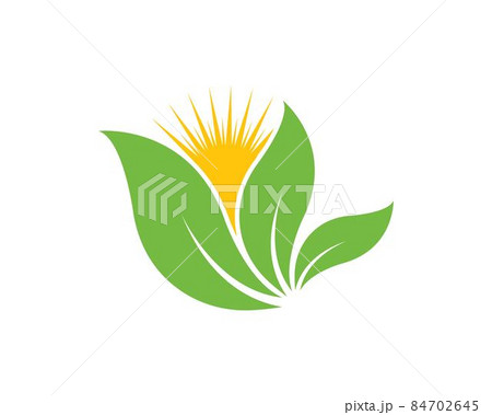 Logos of green leaf ecology nature element vector 84702645