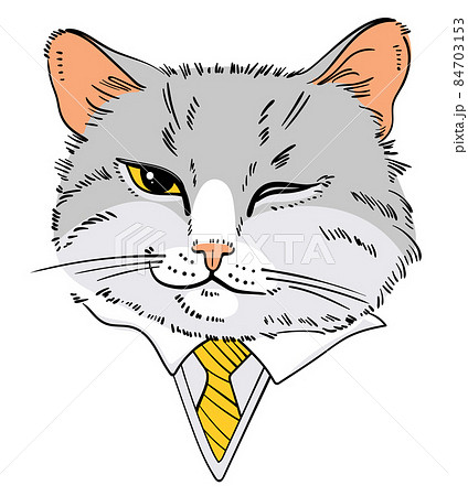 Portrait of cat in business suit. Cat smirk 84703153