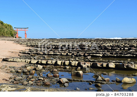 快晴の鬼の洗濯板と青島神社鳥居 宮崎 快晴の鬼の洗濯板と青島神社鳥居 宮崎 84703288