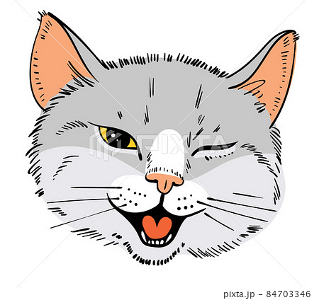 Feline grin. Cat stuck out his tongue and winks with one eye Feline grin. Cat stuck out his tongue and winks with one eye 84703346