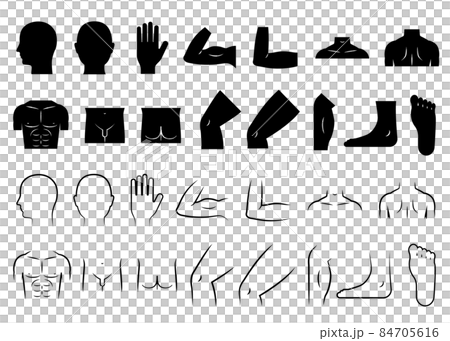 Body parts set (male) Body parts set (male) 84705616