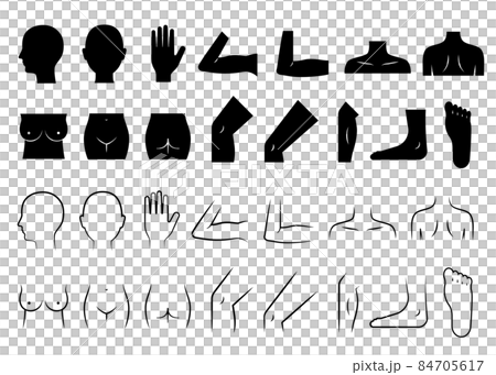 Body parts set (female) 84705617