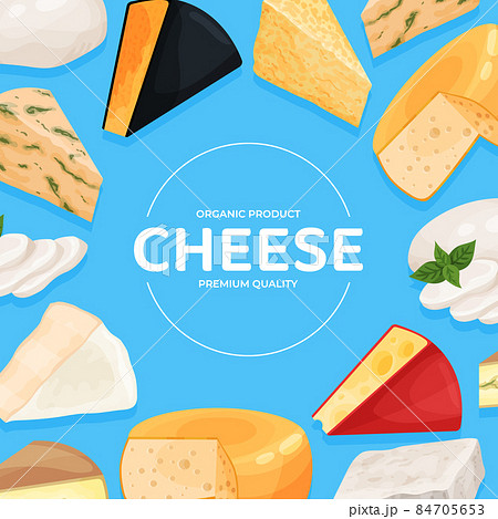 Cheese banner with various types of cheese. Natural organic dairy products poster, card, menu design vector illustration 84705653