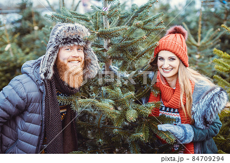 Couple having fun looking for a Christmas tree 84709294