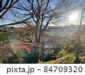 紅葉に朝日 84709320