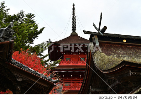 柏原八幡宮の紅葉 柏原八幡宮の紅葉 84709984