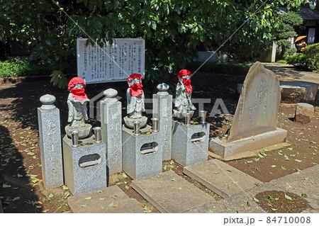 金剛寺（朝霞） 84710008