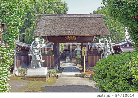 金剛寺（朝霞） 84710014