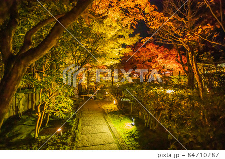 圓徳院の紅葉　夜間特別拝観 84710287