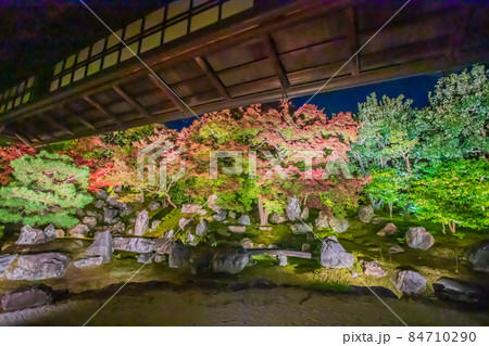 圓徳院の紅葉　夜間特別拝観 84710290