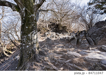 筑波山　稜線　女体山山頂付近の風景 84711047