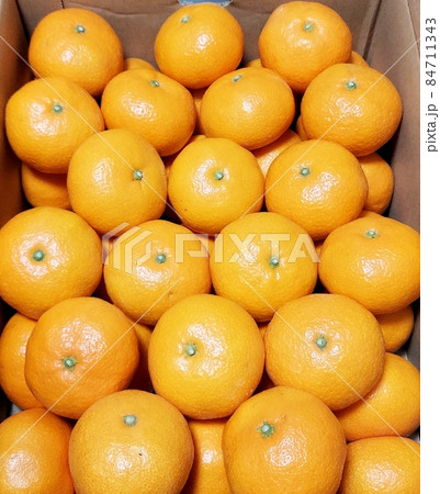 箱詰めのみかん,冬の定番,日本の定番 84711343