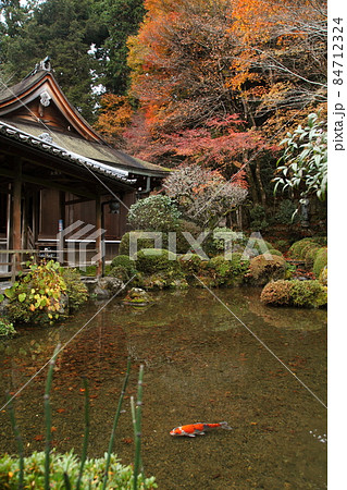 秋の寂光院 秋の寂光院 84712324