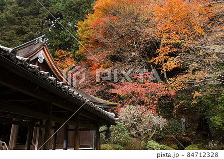 秋の寂光院 秋の寂光院 84712328