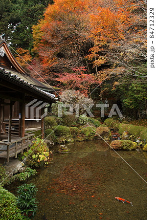 秋の寂光院 84712329