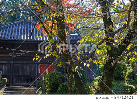 小江戸川越の喜多院の秋 紅葉が見ごろの風景 小江戸川越の喜多院の秋 紅葉が見ごろの風景 84712421