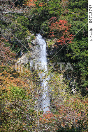 せんだん轟の滝 84712747