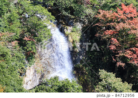 せんだん轟の滝 84712956