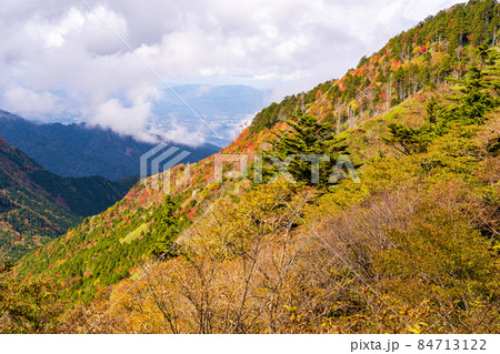 岐阜県と長野県の県境　神坂峠付近から見る紅葉の山 84713122