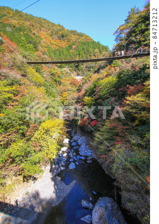 樅木の吊橋 樅木の吊橋 84713212