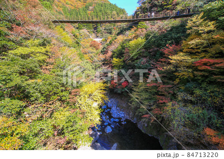 樅木の吊橋 樅木の吊橋 84713220
