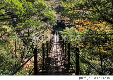 樅木の吊橋 樅木の吊橋 84713230