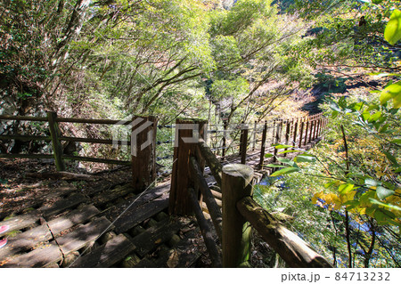 樅木の吊橋 樅木の吊橋 84713232