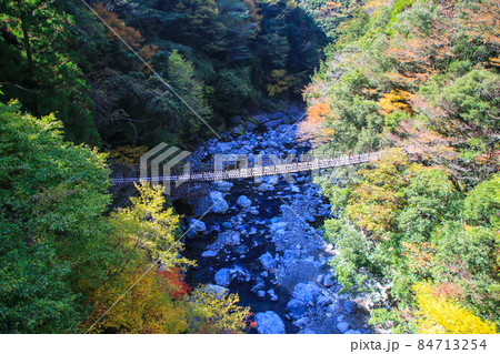 樅木の吊橋 樅木の吊橋 84713254