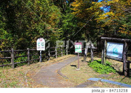 樅木の吊橋の入り口 84713258