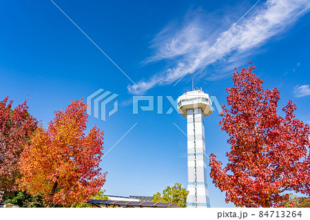 岐阜県海津市　木曽三川公園センター水と緑の館・展望タワーと赤く紅葉したモミジバフウの木 84713264