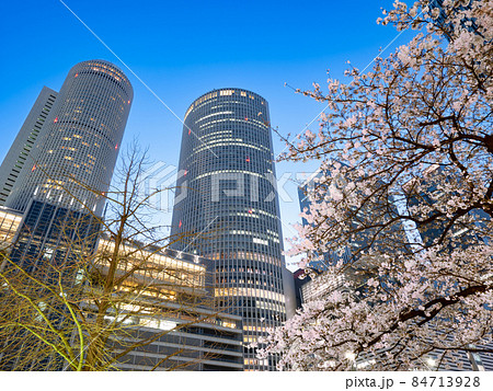 名古屋都市風景　名古屋駅前ロータリーと夜桜 84713928