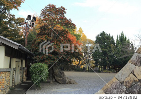 戦国の城墨俣一夜城散策・31（岐阜県大垣市墨俣） 84713982