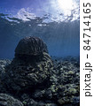 水中風景 84714165