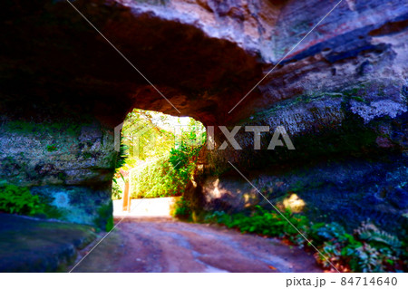 鎌倉五山第三位の古刹、寿福寺からほど近い素掘りのトンネル、寿福寺トンネル 84714640