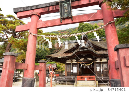 滋賀県高島市　白髭神社鳥居と社殿 84715401